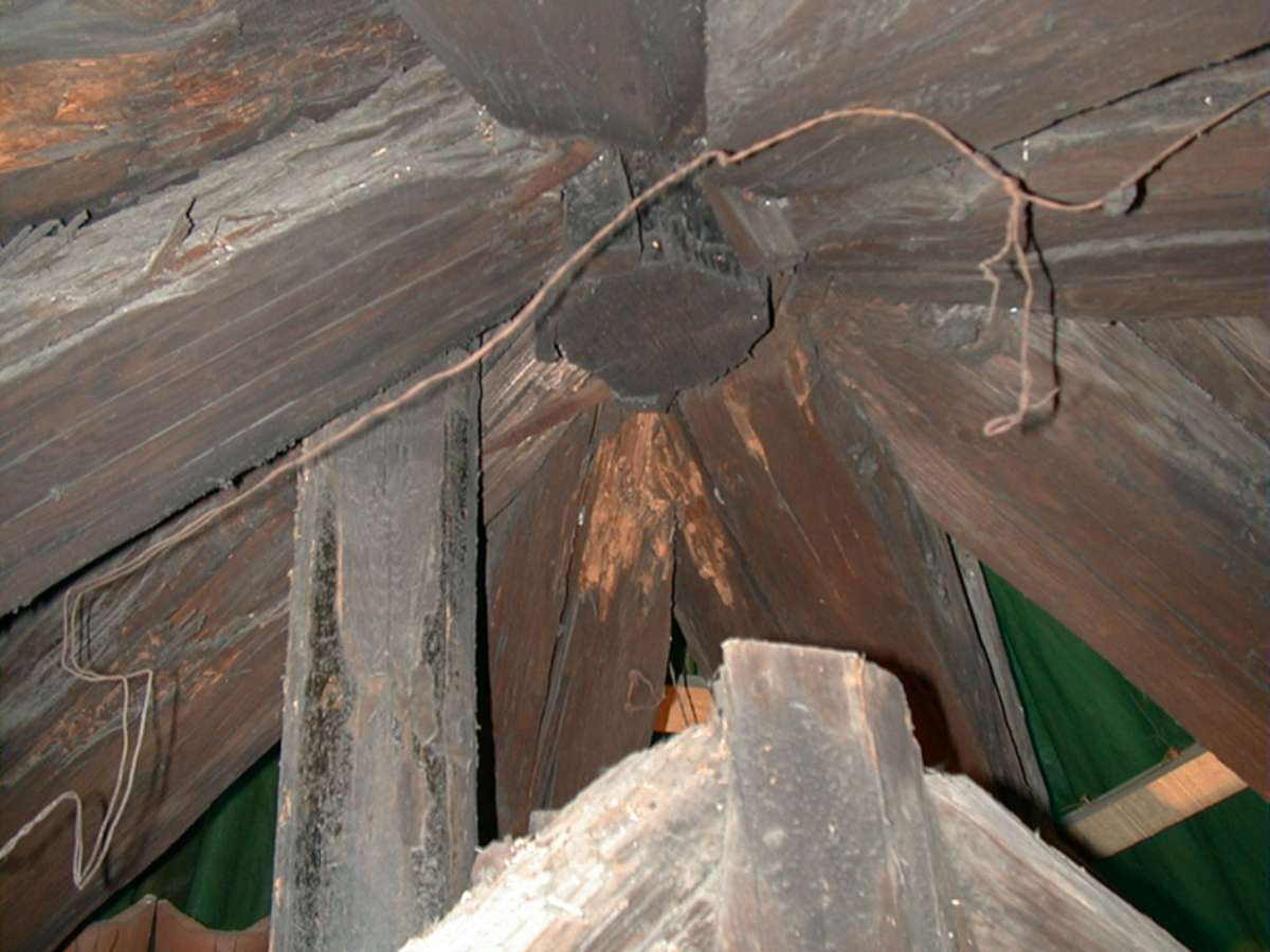 DSC00009(3)